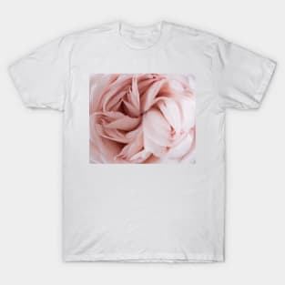 Lust and desire T-Shirt